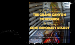 Why We Love The Grand Canyon Concourse At Disney's Contemporary Resort