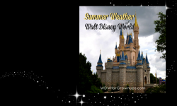 Visiting Walt Disney World In The Hot Summer Weather