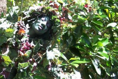 DiVine Performance Art At Disney's Animal Kingdom