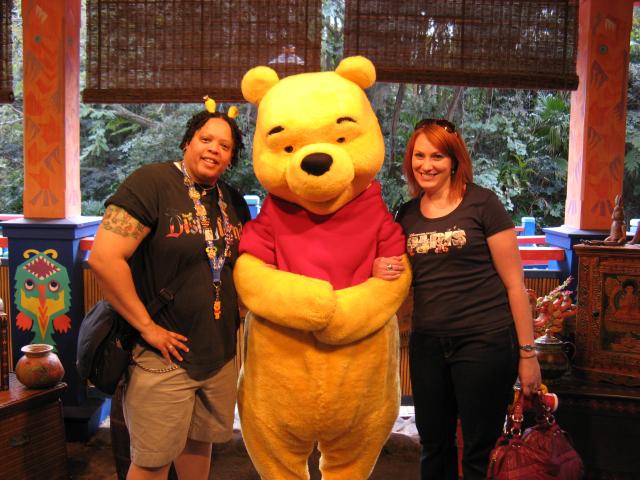 The Pooh Bear The Pooh Bear