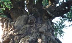 Talking the Talk: A Walt Disney World Glossary of Definitions
