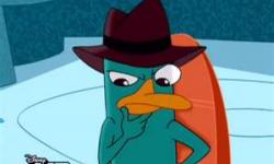 Walt Disney World Rumors: Agent P & Fantasyland Walt Disney World Rumors: Agent P & Fantasyland