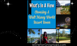 What’s In A View, Choosing Your Walt Disney World Resort Room