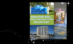 Deluxe Studio Villas At Disney's Contemporary Bay Lake Tower