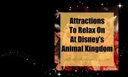 Attractions To Relax On At Disney's Animal Kingdom