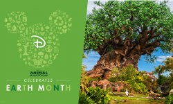 April Celebrates Earth Month At Disney's Animal Kingdom