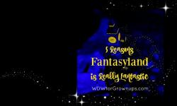 5 Reasons Why Fantasyland Is Really Fantastic