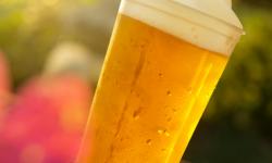 Frozen Draft Beer Invades the U.S. - At Epcot's Japan Pavilion