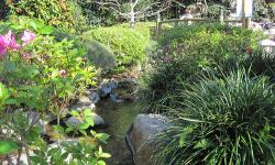 Epcot's Beautiful Japanese Gardens