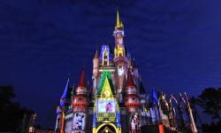 Disney World annual pass