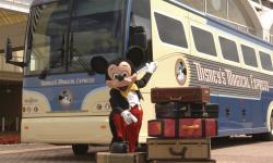 Pros and cons of renting a car in Disney World