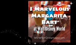3 Marvelous Margarita Bars To Celebrate Cinco de Mayo at Walt Disney World