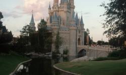 Top 10 Must-Have Items for a Day in the Walt Disney World Theme Parks