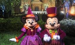 Costume Guidelines for Mickey’s Not-So-Scary Halloween Party