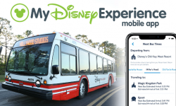 Bus Times Feature Now On The My Disney Experience App