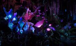 More Details Revealed for Pandora - The World of Avatar at Disney’s Animal Kingdom