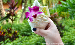 'Olu Mel Dole Whip At Pineapple Lanai