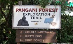 Maharaja Jungle Trek and Pangani Forest Trail