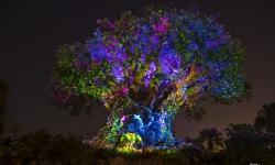 Memorial Day Weekend Brings Extended Hours and Nighttime Experiences to Disney’s Animal Kingdom