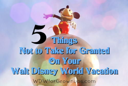 5 Things Not to Take for Granted On Your Walt Disney World Vacation