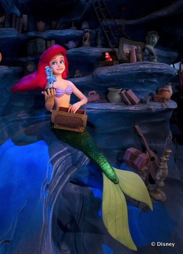 Ariel with Her Collection