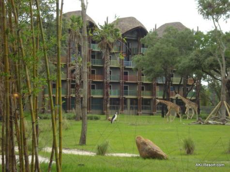 Changes made to nighttime safari at Disney's Animal Kingdom Lodge