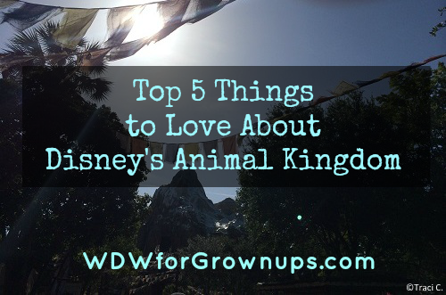 What do you love about Disney's Animal Kingdom?