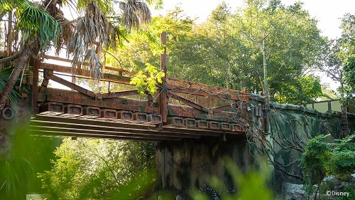 Bridge leading to Pandora - The World of Avatar
