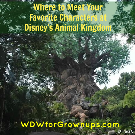 Meeting characters at Disney's Animal Kingdom