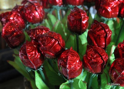 Enchanted Chocolate Roses