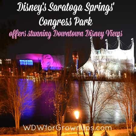 The Congress Park Section Has Stunning Downtown Disney Views