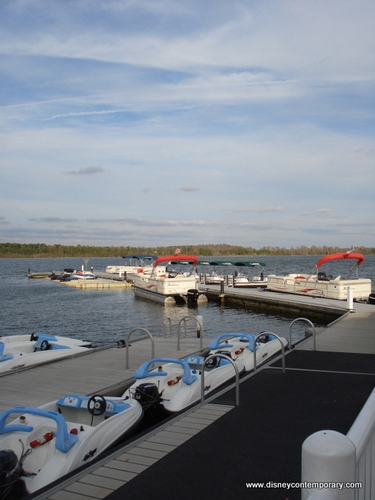 Contemporary Resort Marina