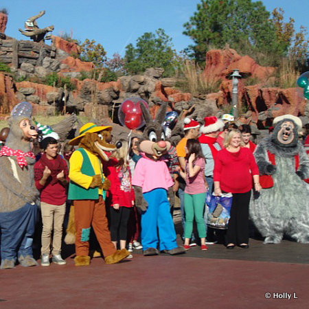 The Country Bears at Splash Mountain