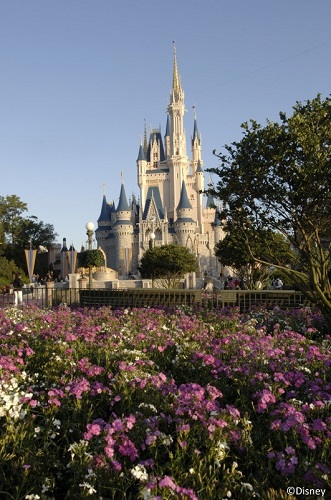 Technology makes planning your Disney vacation a breeze
