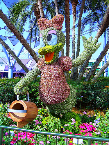 Daisy Duck Topiary from 2011