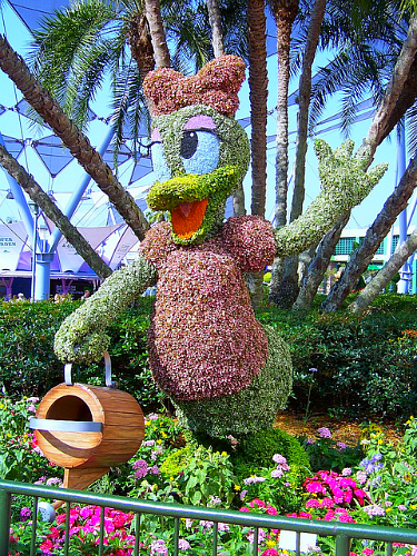 Epcot International Flower and Garden Festival in Bloom