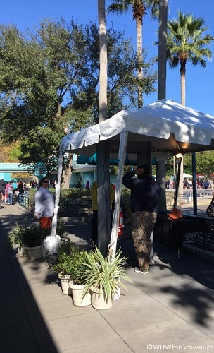 Metal detector at Disney's Hollywood Studios