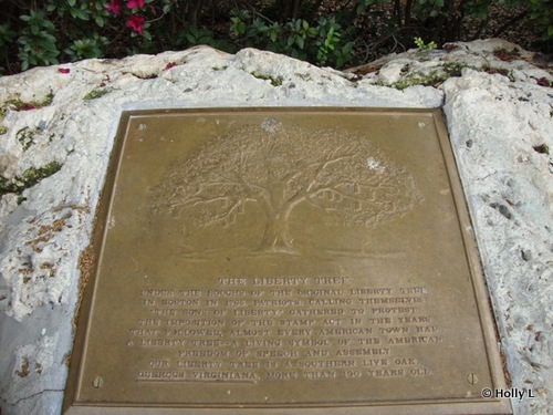 Liberty Tree Plaque
