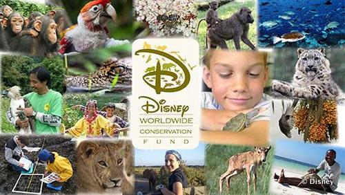 Disney Worldwide Conservation Fund