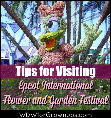 Tips For Visiting the Epcot International Flower and Garden Festival