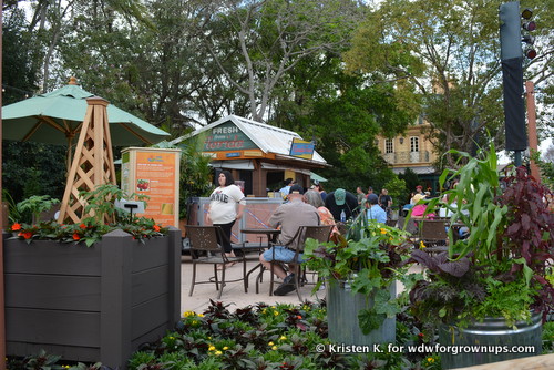 Outdoor Seating In The Florida Fresh Garden