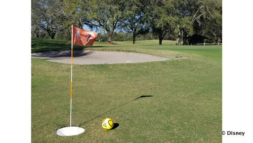 Try The Fun New Sport FootGolf