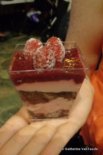 Framboise: Raspberry Mousee with Rich Chocolate Cake