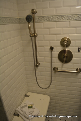 Roll In Shower with Seat And Hand Held Showerhead