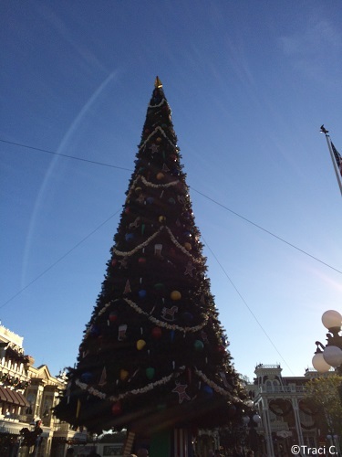 Magic Kingdom Christmas tree