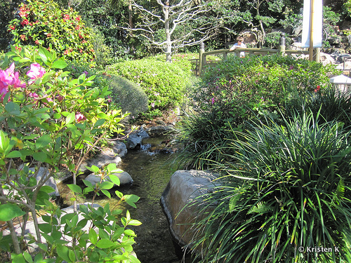 Gentle Running Water Flows Through The Manicured Garden