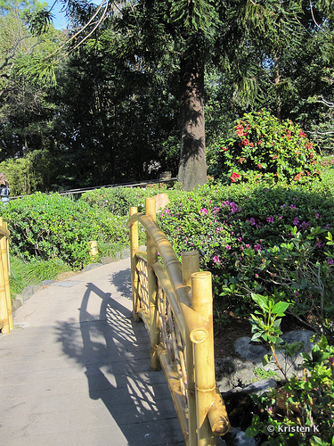 Paths and Bridges Lead Guests Back Into The Gardens