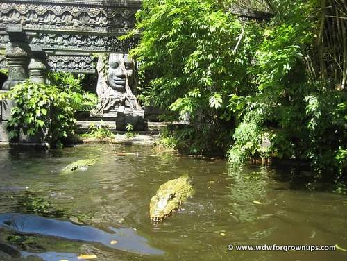 Dangerous Rivers on The Jungle Cruise