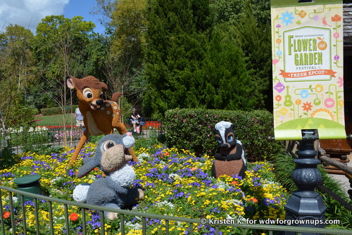 Bambi And Friends Are At Home In The Garden