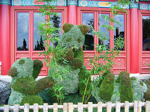Hungry Panda Topiary from China Pavilion from 2011